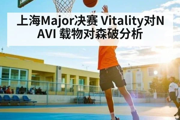 上海Major决赛 Vitality对NAVI 载物对森破分析